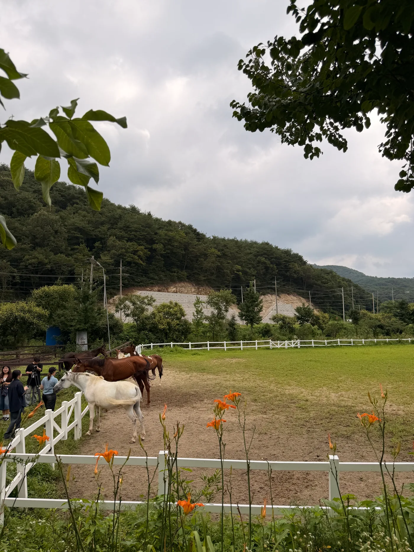 꽃밭 여행